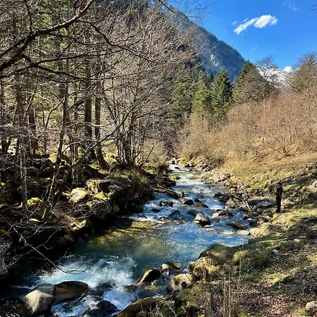 Apartmán T2 Cosy - Au Coeur De - Le Nid Du Lys